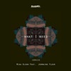 What I Need (feat. Jermaine Fleur)