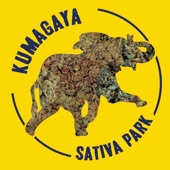 Kumagaya Sativa Park (feat. Namedaruma) artwork