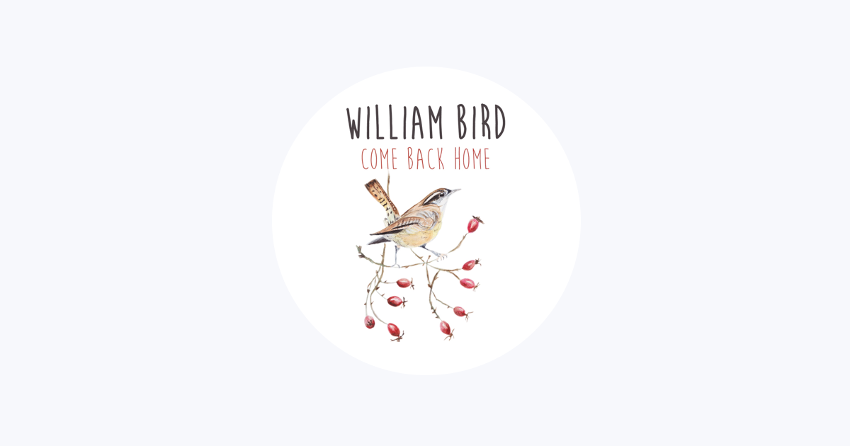 Willing bird. Blackbird WM.