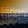 The Sea of Grace