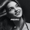 Pedro (Techno) - EP