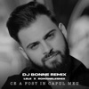 Ce a fost in capul meu (Dj Bonne Remix) - Single