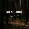 No Sufrire por Nadie - Single