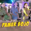 Pamer Bojo - Single