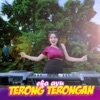 Terong Terongan - Single