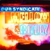 Dub Syndicate - Jah Rasta (feat. Big Youth)