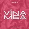 Vina mea (Acoustic Version) - Single