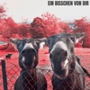 Ein bisschen von Dir - Single