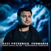 Esti puternica, frumoasa - Single