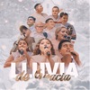 Lluvia de Gracia - Single