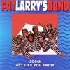 Fat Larry's Band - Zoom