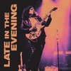 Late In the Evening - Single