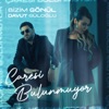 Çaresi Bulunmuyor - Single