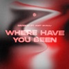 Where Have You Been (feat. Amit Shauli) - Single