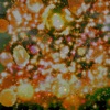 Sole - Single