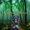 Medusa's Flower - Single