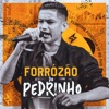 Forrózão Do Pedrinho