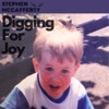 Digging For Joy - Single