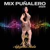 Mix Puñalero 2024 - Single