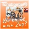 Wo bleibt mein Zug? - Single