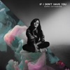 If I Don't Have You - Single