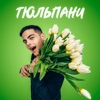 Тюльпани - Single