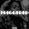 Triggered - Single