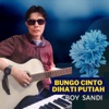 Bungo Cinto Dihati Putiah - Single