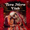 Tera Mera Viah - Single