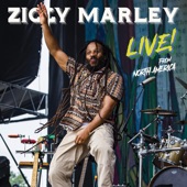Ziggy Marley - Personal Revolution - Live