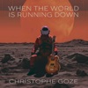 When the world is running down - Single