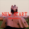 New Start - Single