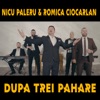 Dupa Trei Pahare - Single