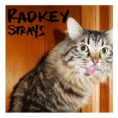 Strays - Single