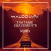 Trátame Suavemente (Waldo Dance Remix) - Single