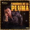 Corridos de la Pluma