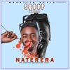 Naterera - Single