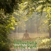 Reflections in the Park - Single