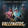 Kate Candela - Mix Vallenatos 4 (Olvídala /Osito Dormilón/ Los Caminos de la Vida)