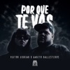 Porque Te Vas - Single