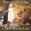 Peace In the Valley - Single