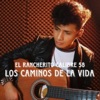 Los Caminos de la Vida - Single