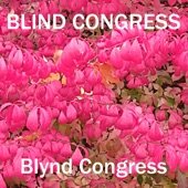 Blind Congress - Warm in April
