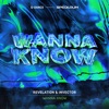 Revelation - Wanna Know (Extended Mix)