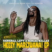 General Levy - Can't Stop Blaze Up