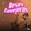 Besos Callejeros - Single