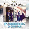 Parranderos de Chihuahua - A Tus Rejas