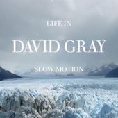 David Gray - Disappearing World