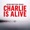 Kensington Road - Charlie Is Alive