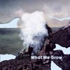 What We Grow
